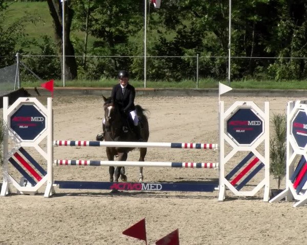 Reitturnier Maienfeld 2023