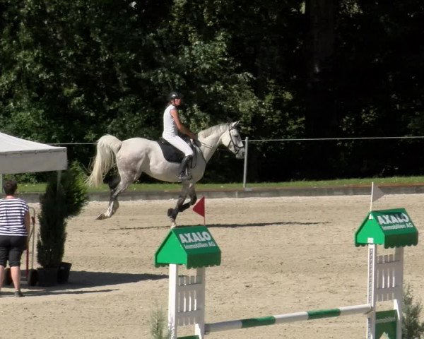 Reitturnier Maienfeld 2023