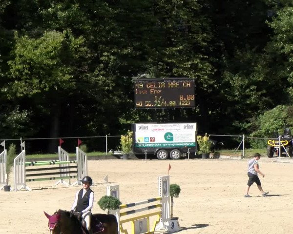 Reitturnier Maienfeld 2023