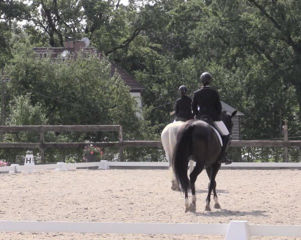 Reitturnier Müncheberg 2023