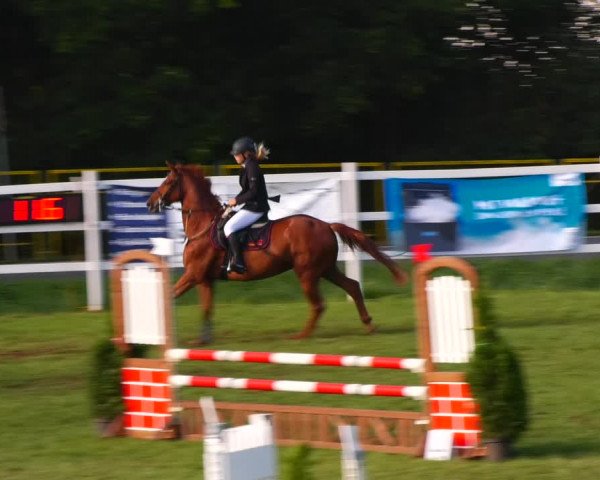 Reitturnier Müncheberg 2023