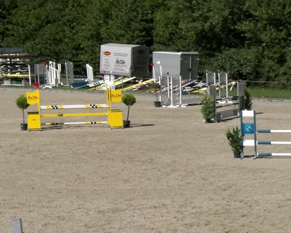 Reitturnier Maienfeld 2023