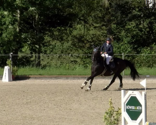 Reitturnier Maienfeld 2023