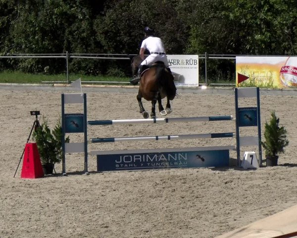 Reitturnier Maienfeld 2023