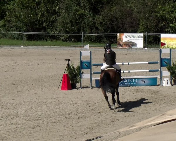 Reitturnier Maienfeld 2023
