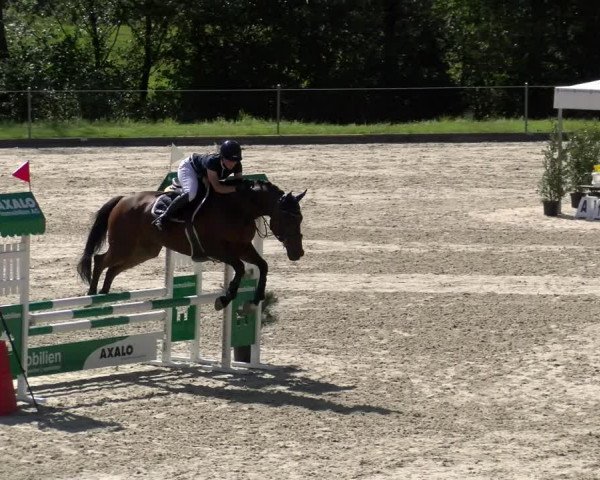 Reitturnier Maienfeld 2023