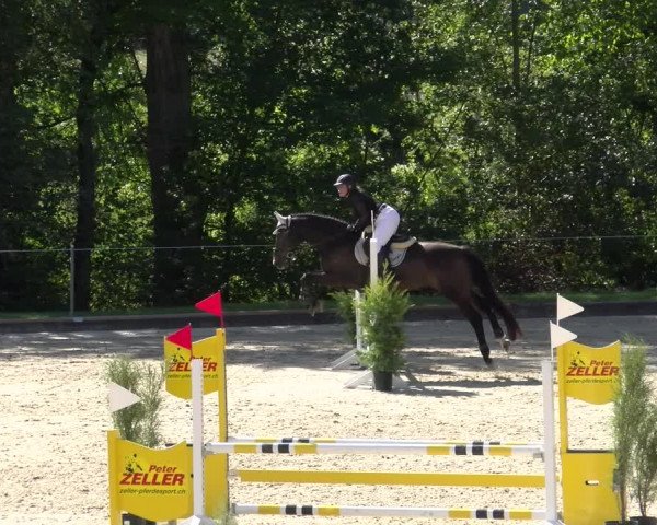 Reitturnier Maienfeld 2023