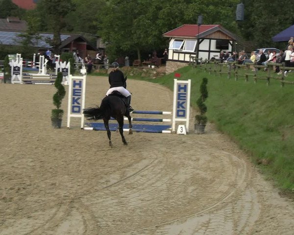 Reitturnier Vlotho-Valdorf 2023