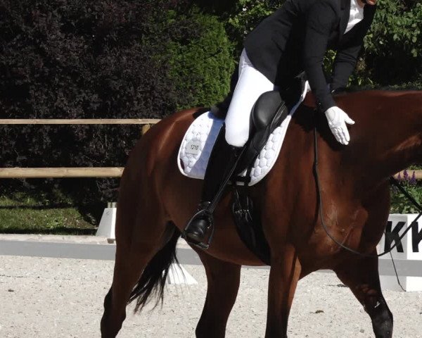 Reitturnier St. Ulrich am Pillersee 2023
