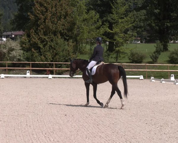 Reitturnier St. Ulrich am Pillersee 2023