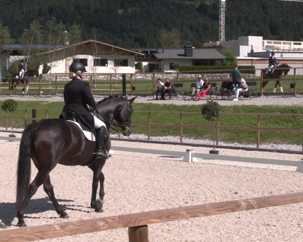 Reitturnier St. Ulrich am Pillersee 2023
