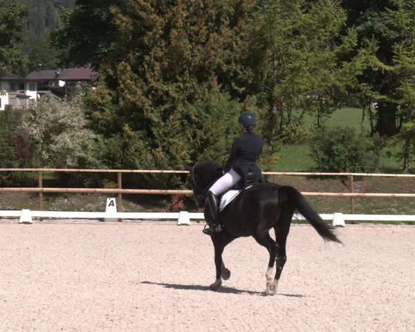 Reitturnier St. Ulrich am Pillersee 2023