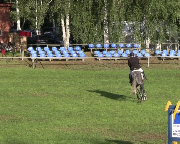 Reitturnier Dannenberg 2023