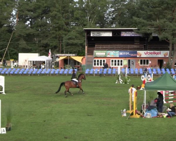Reitturnier Dannenberg 2023