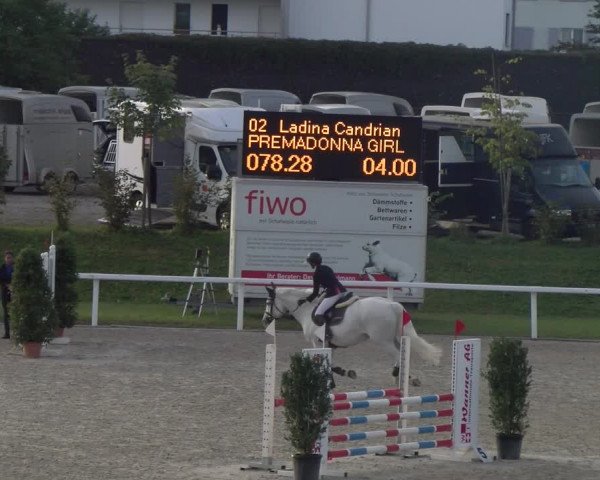 Reitturnier Bülach 2023