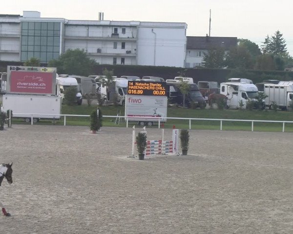 Reitturnier Bülach 2023