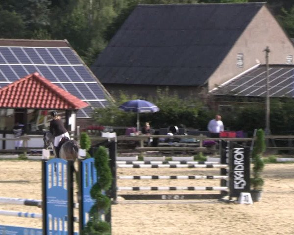 Reitturnier Vlotho-Valdorf 2023