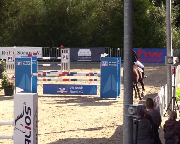 Reitturnier Sörup 2023