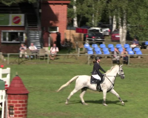 Reitturnier Dannenberg 2023