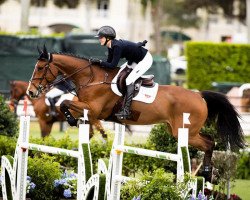 Springpferd Kafka du Printemps (Belgisches Warmblut, 2010, von Nabab de Rêve)