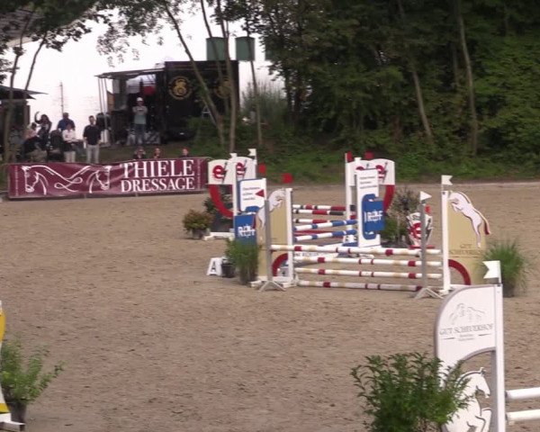 Reitturnier Köln-Flittard (Scheuerhof) 2023