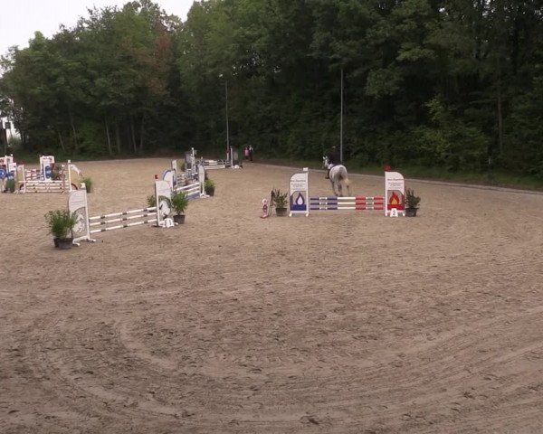 Reitturnier Köln-Flittard (Scheuerhof) 2023