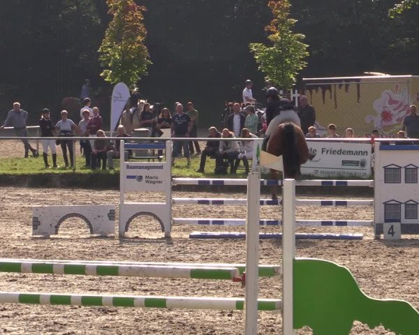 Reitturnier Lgl.-Oberhain, B95 2021