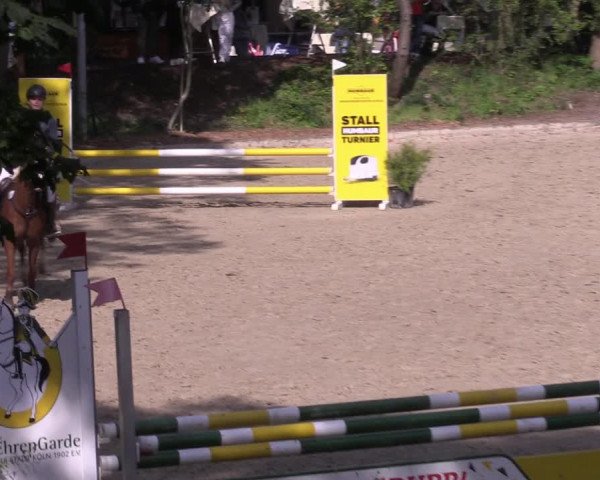 Reitturnier Köln-Flittard (Scheuerhof) 2023