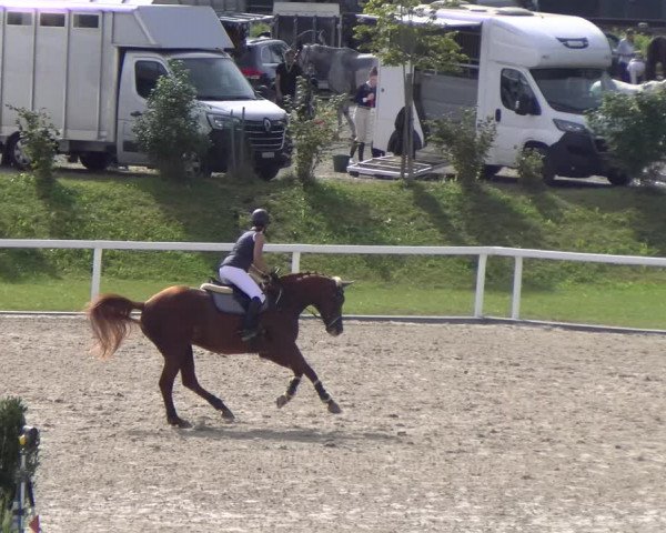 Reitturnier Bülach 2023