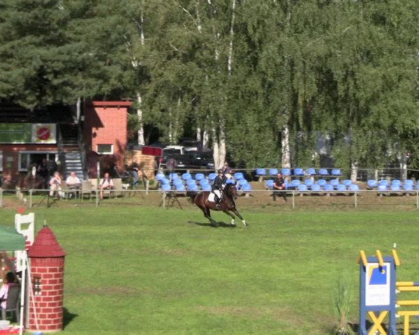 Reitturnier Dannenberg 2023