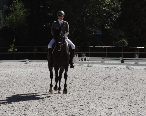 Reitturnier St. Ulrich am Pillersee 2023