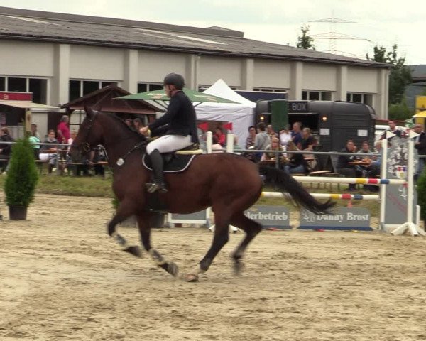 Reitturnier Dortmund-Barop 2021