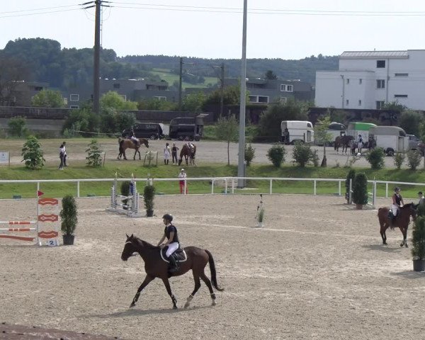 Reitturnier Bülach 2023