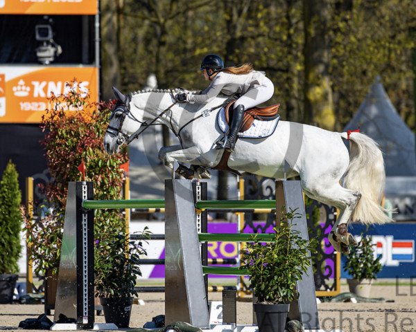 Springpferd Calindra 2 (Westfale, 2013, von Cornet Obolensky)