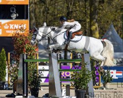 jumper Calindra 2 (Westphalian, 2013, from Cornet Obolensky)