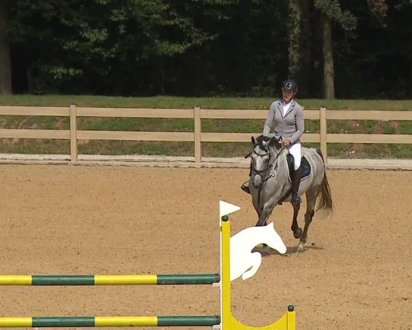 Reitturnier Tiefenhof 2023