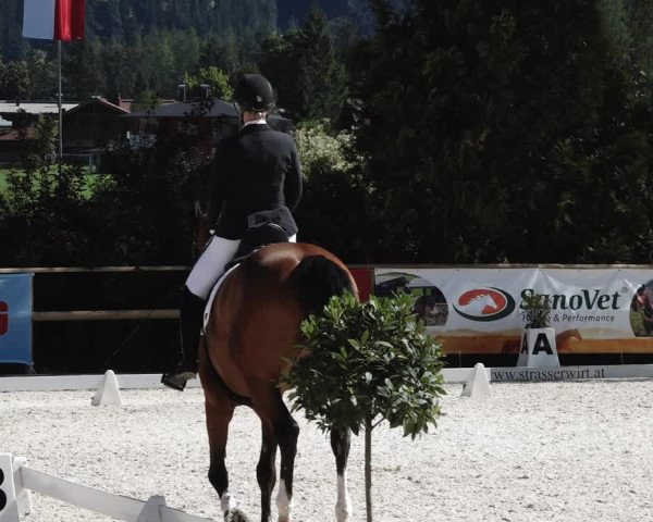 Reitturnier St. Ulrich am Pillersee 2023