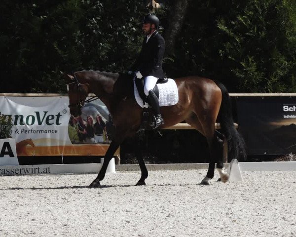 Reitturnier St. Ulrich am Pillersee 2023