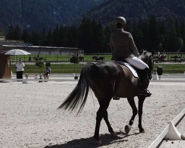 Reitturnier St. Ulrich am Pillersee 2023