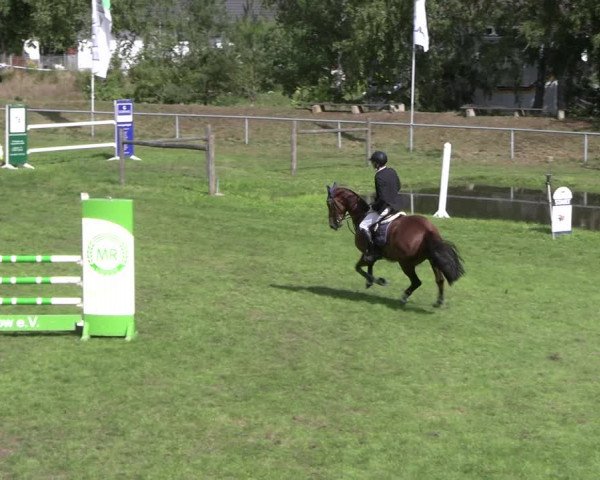 Reitturnier Dannenberg 2023