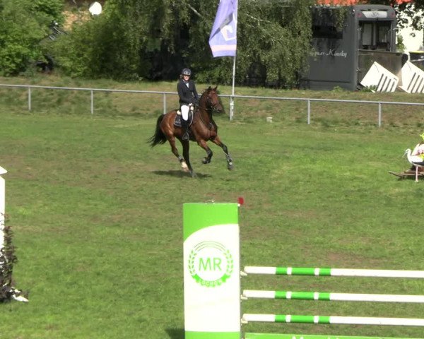 Reitturnier Dannenberg 2023