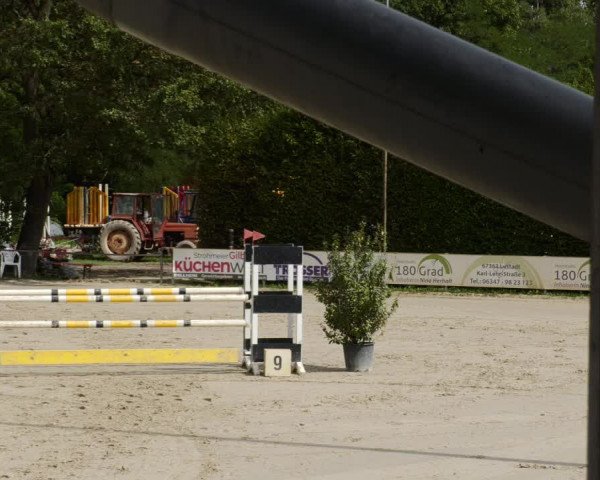 Reitturnier Zeiskam 2023
