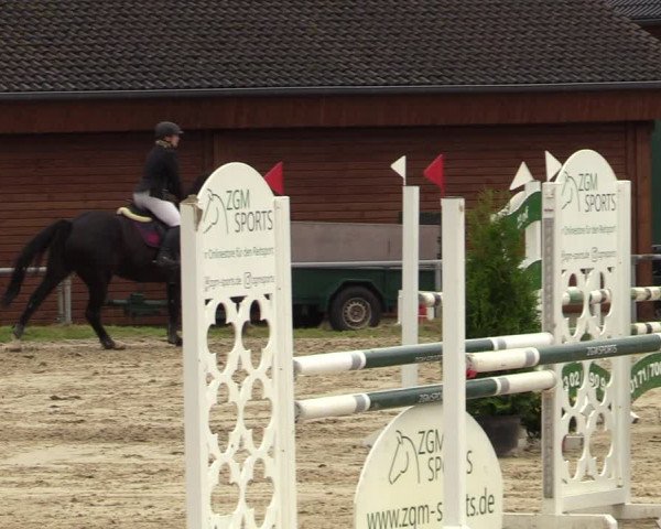 Reitturnier Dortmund-Barop 2021