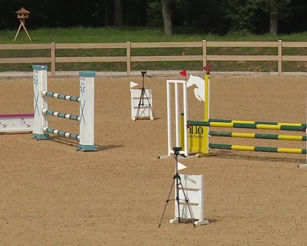 Reitturnier Tiefenhof 2023
