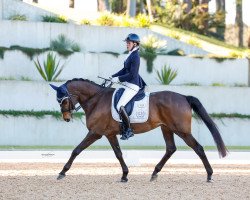broodmare Elfenzauber (Trakehner, 2007, from Herzensdieb)