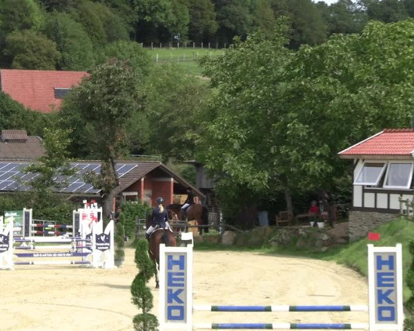 Reitturnier Vlotho-Valdorf 2023