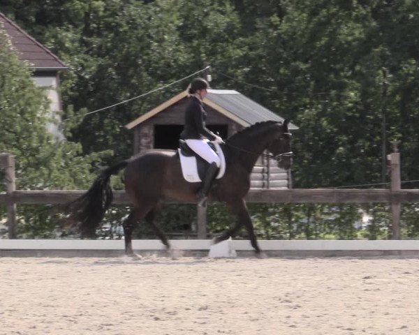 Reitturnier Müncheberg 2023