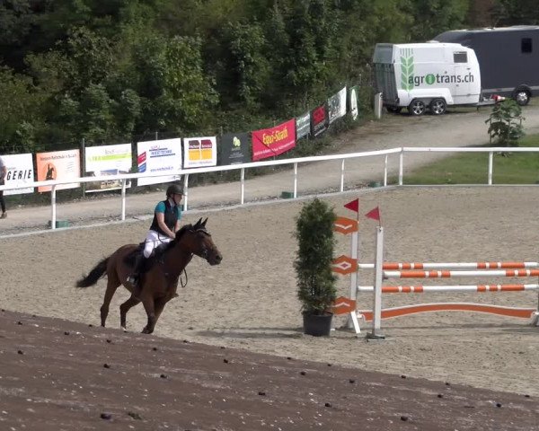 Reitturnier Bülach 2023