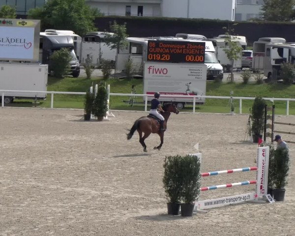 Reitturnier Bülach 2023