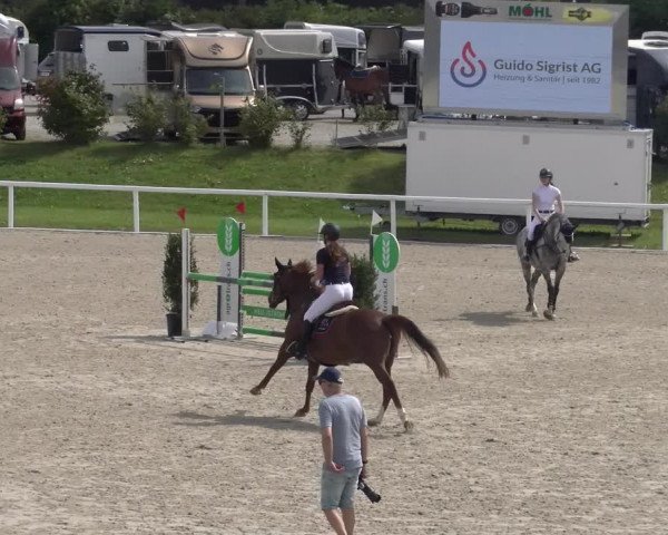 Reitturnier Bülach 2023